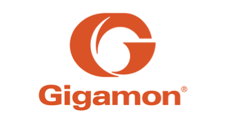 Gigamon